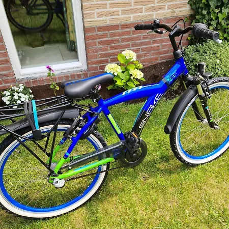 Sonnenschein * سينت مارتن