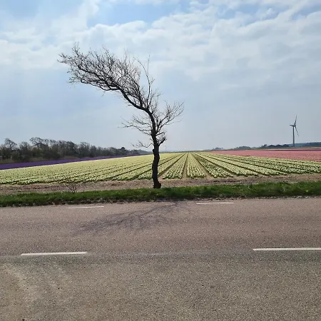 Sonnenschein بيت للعطل