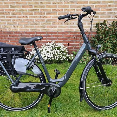 Sonnenschein * سينت مارتن