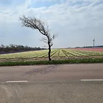 Sonnenschein 펜션